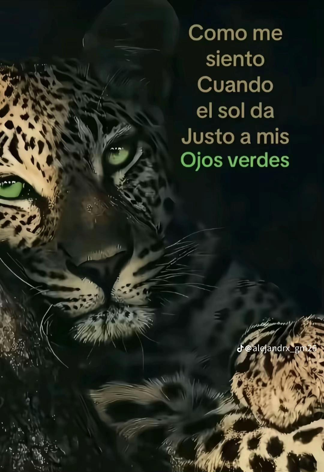 @Andy_910🥸
