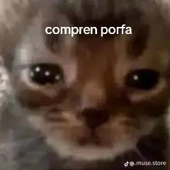 @vxnnss ✨ 💗