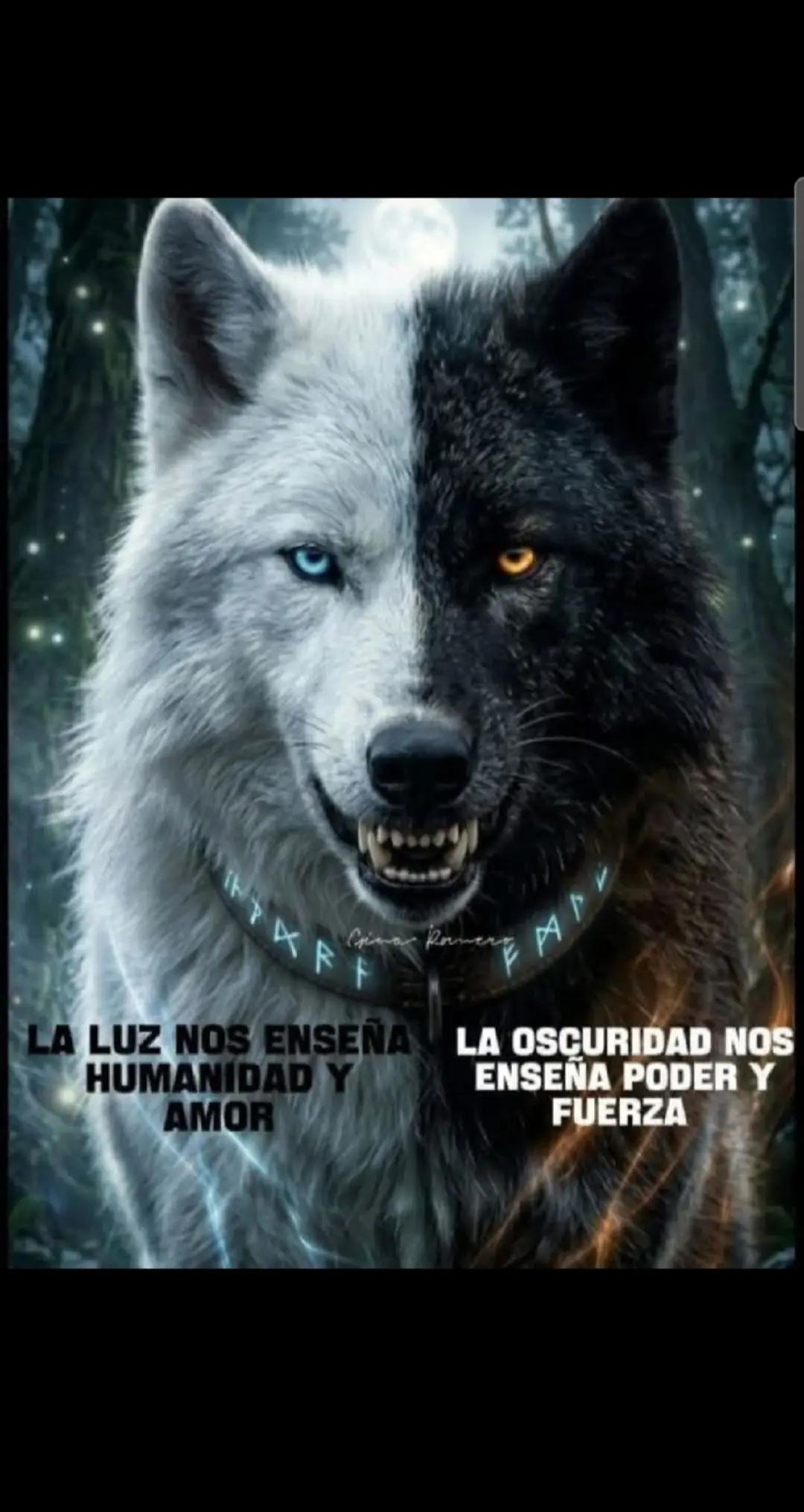 @🐺🐺 EMILIO loureda🔥🔥#