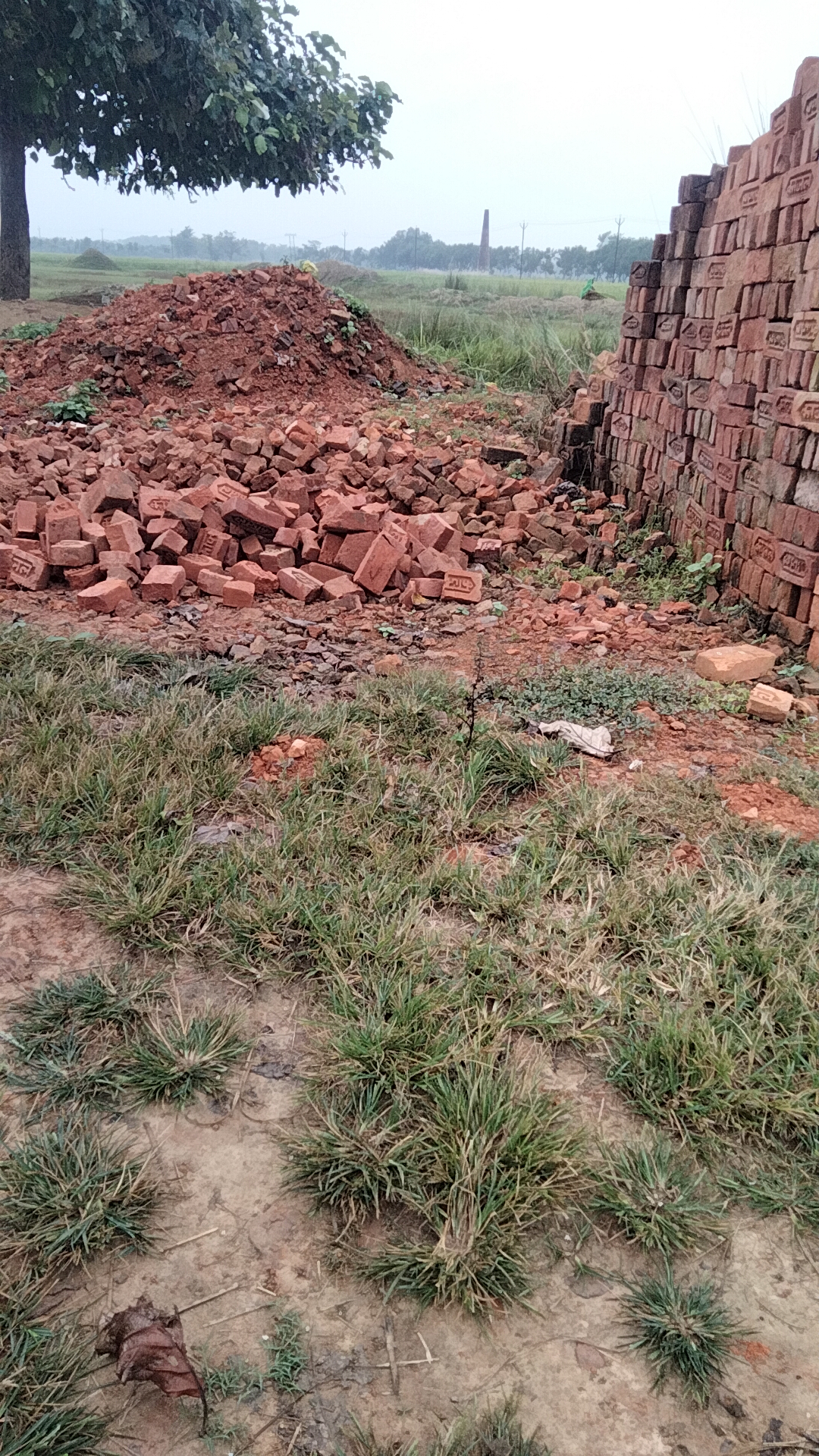 @Sreeram Prasad53tiktok.com/@sr