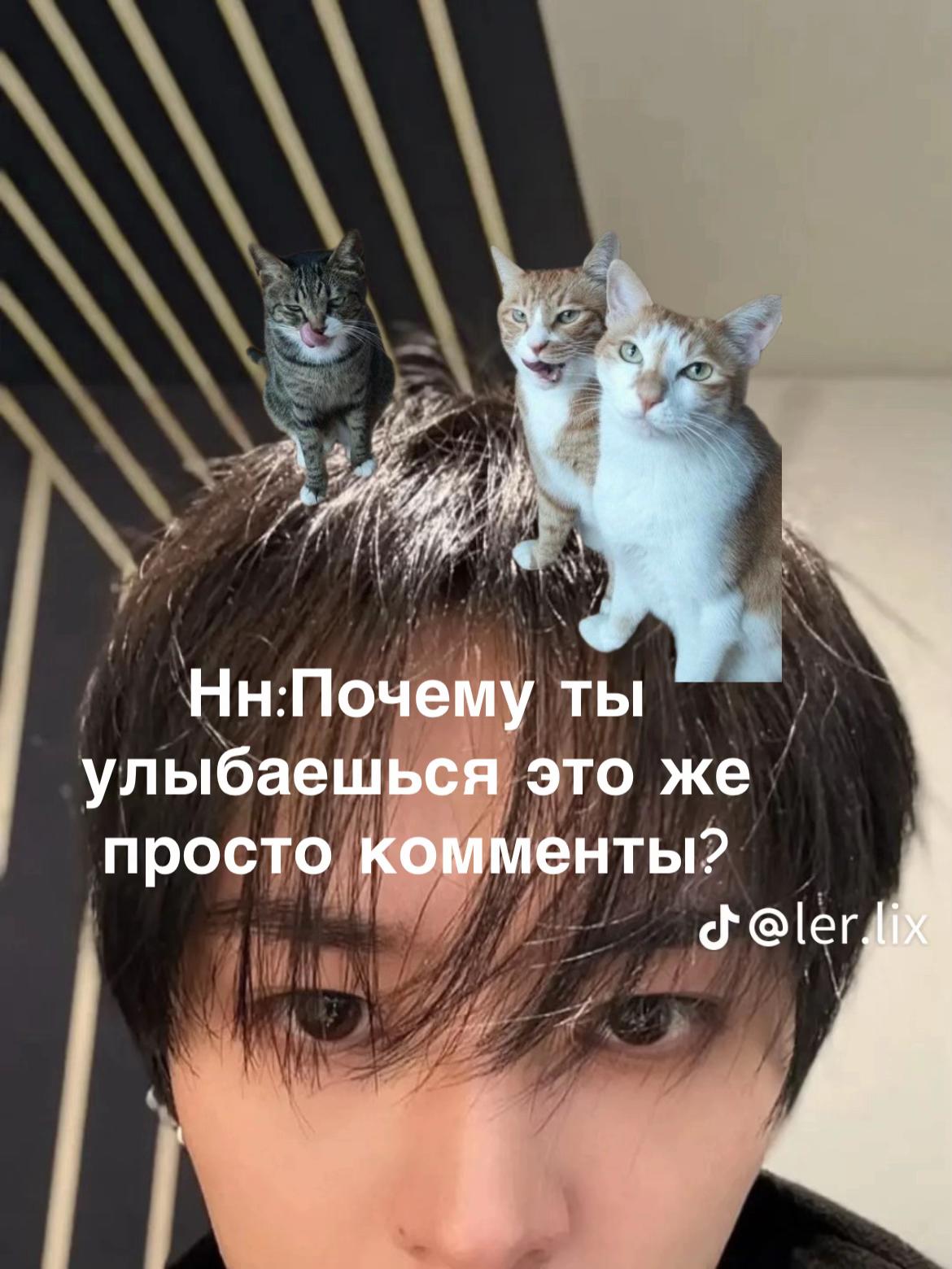 @🎐🦢𐙚𝓓𝓪𝓻𝓪⋅𐙚🎵🎐