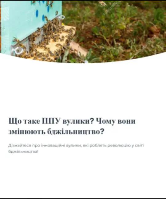 @Аля🐝