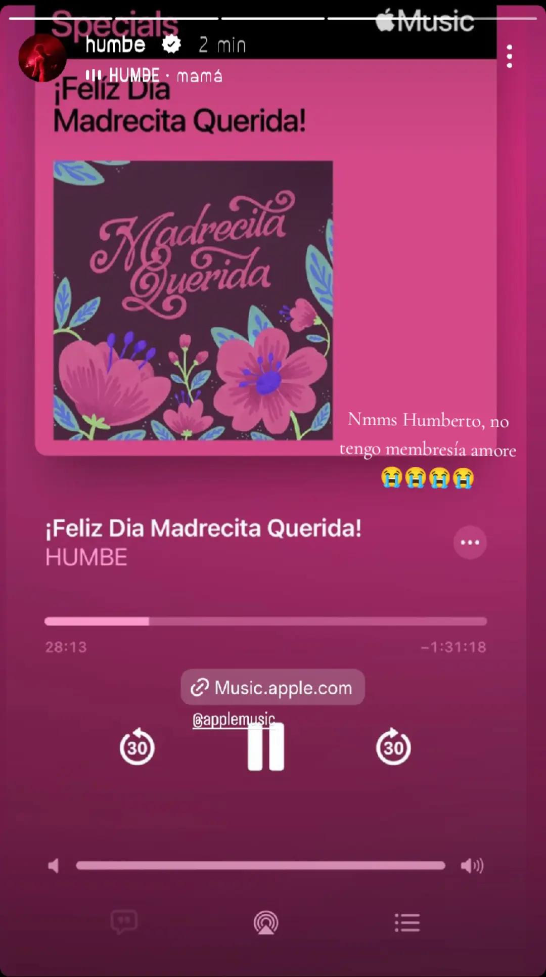 @⋆ ★ ˚。⋆ Hummu ♫︎ ⋆ ★ ˚。⋆