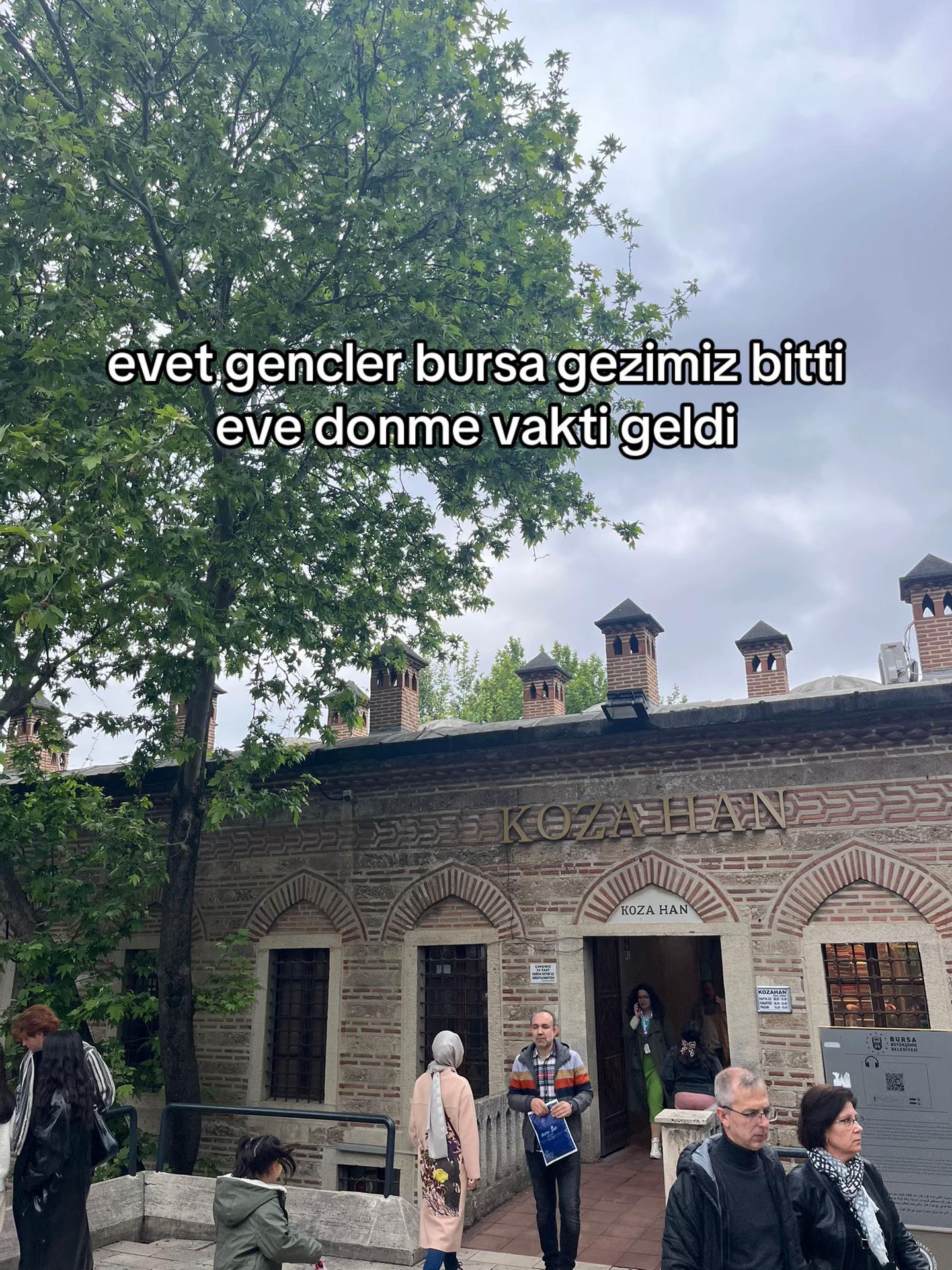 @it oğlu it