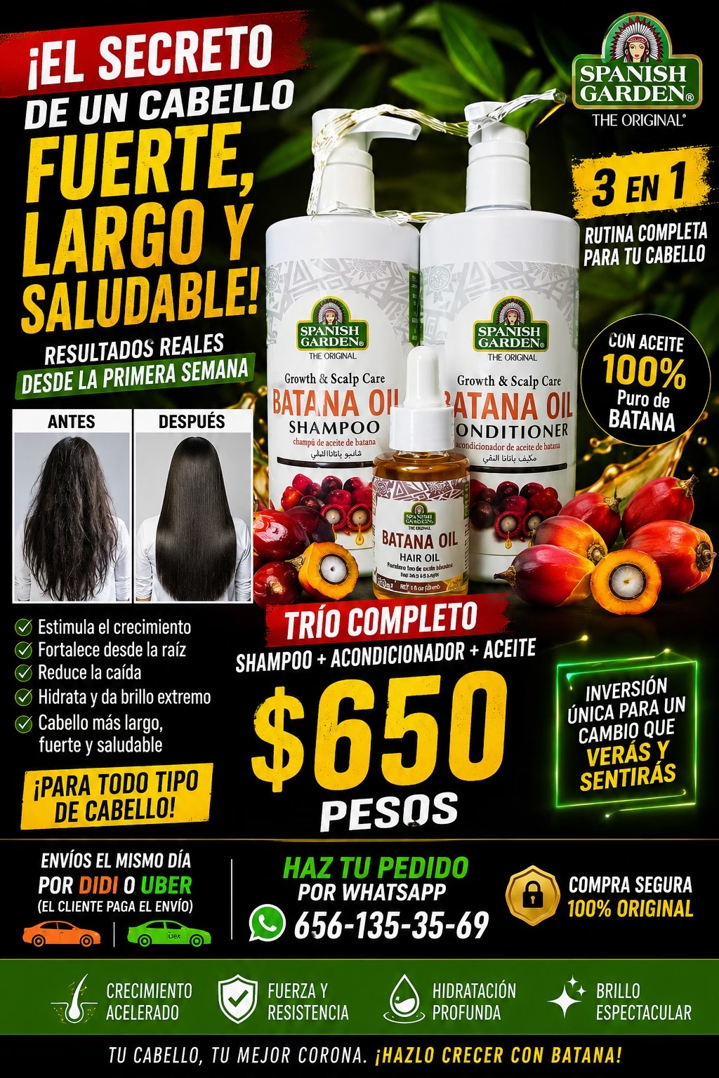 @Samuel Cázares arroyo