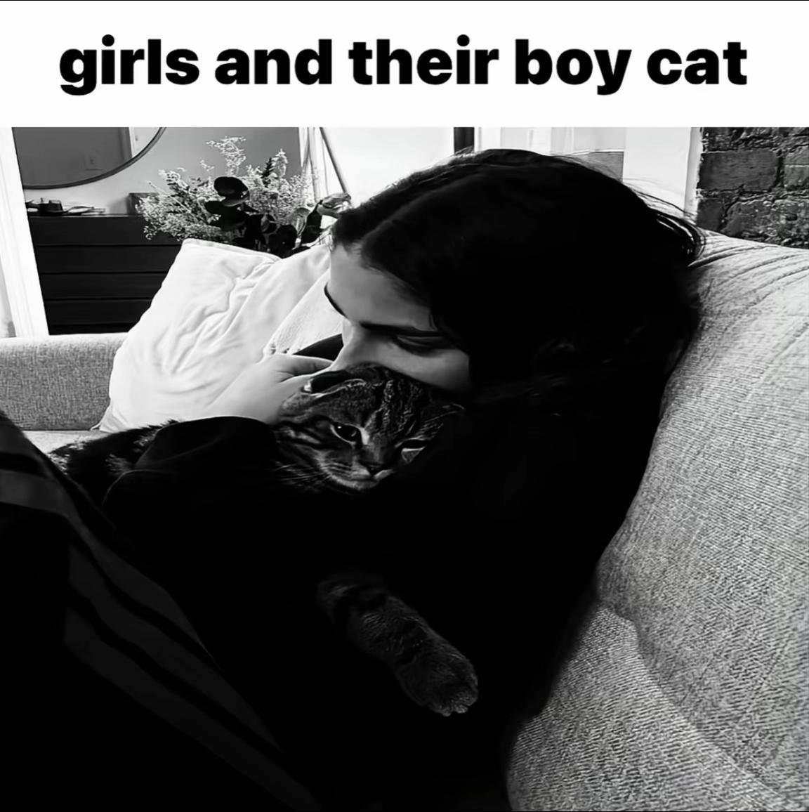 @feline ✿