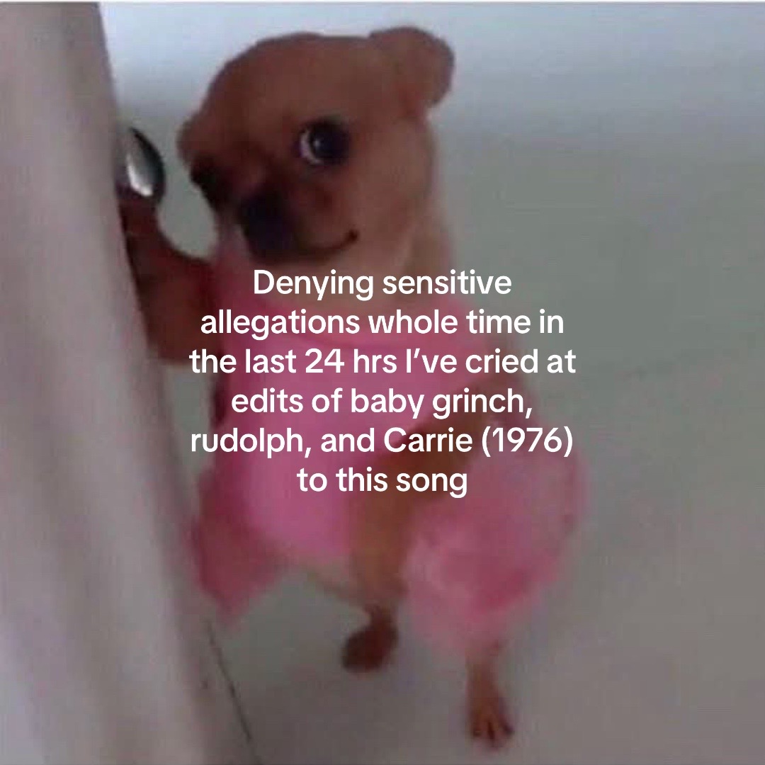 @( ˙ᴥ˙ )