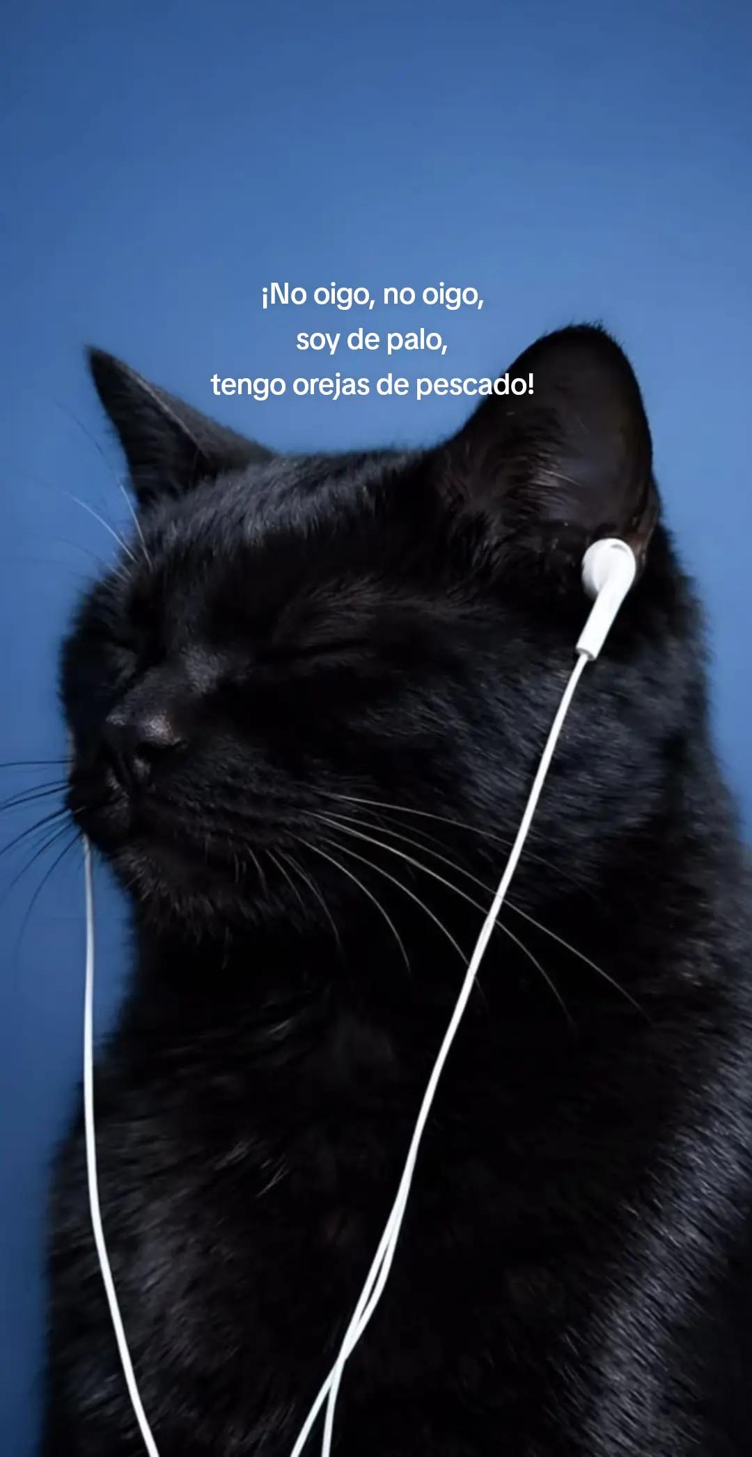 @Mois&eacute;s