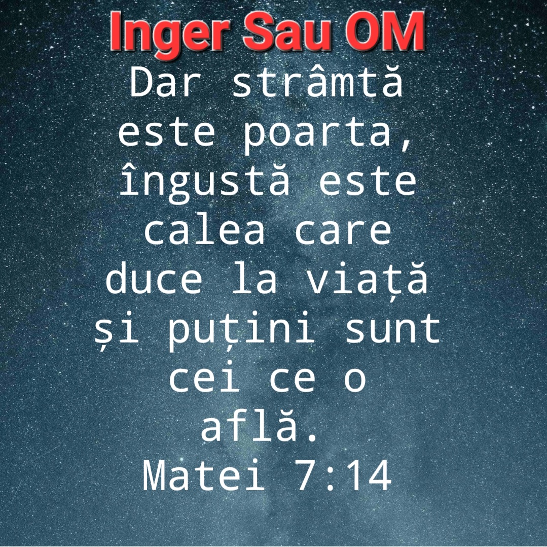 @DAN._.Inger.Sau.OM