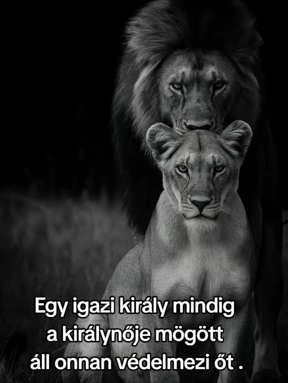 @🧿Heléna🧿