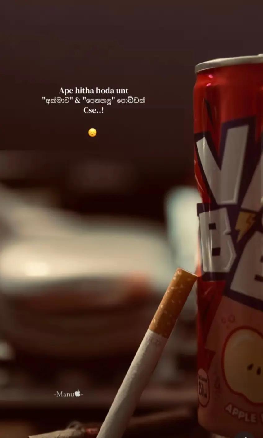 @R ᴀ V ɪ Y ᴀ 🤍🐰