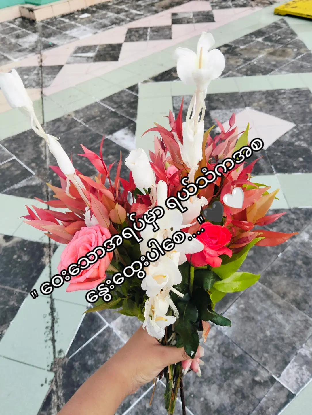 @đđąđ˛đˇ đ˘đŞđˇđ˝đŞđšđšđŽ