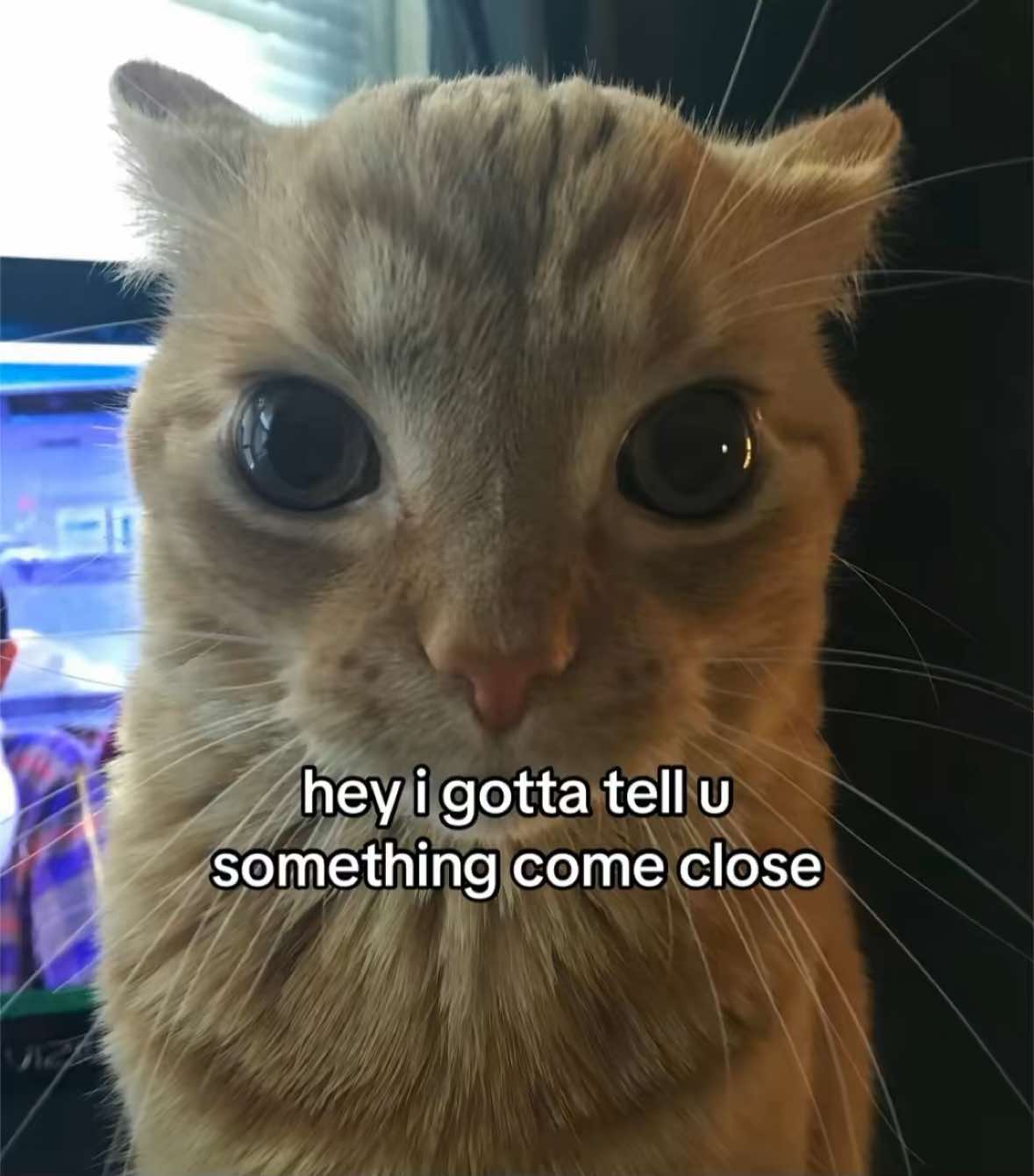 @thoughtswithred