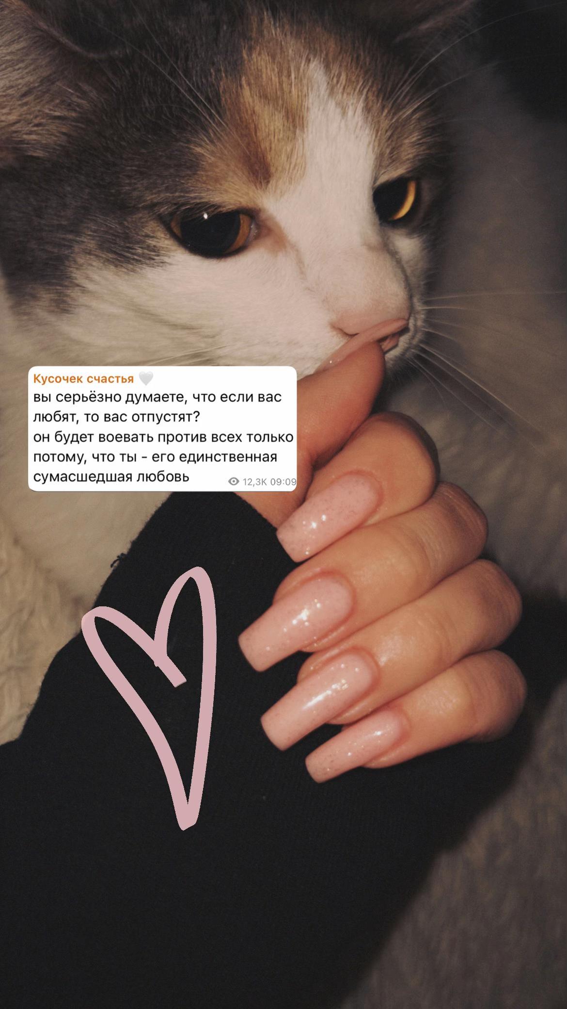 @zhaneka🐈⬛