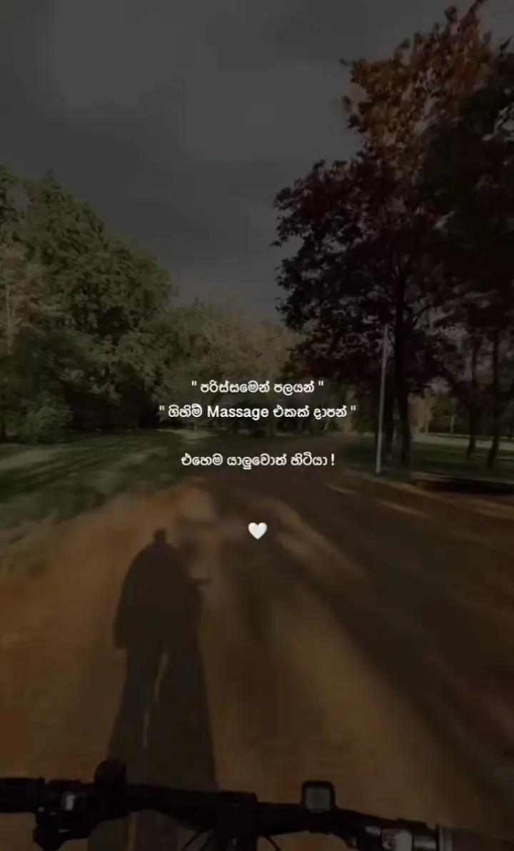 @👸🏻ساجد🫅🏻شازي 💨 සා ᴊ ᴀ ᴀ