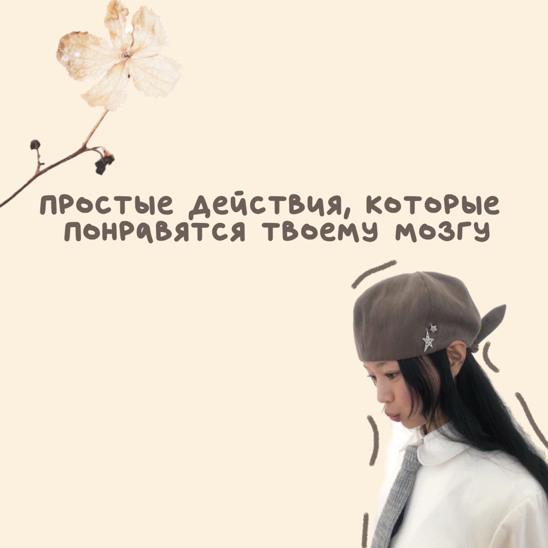 @лаванда ! ♡ . °
