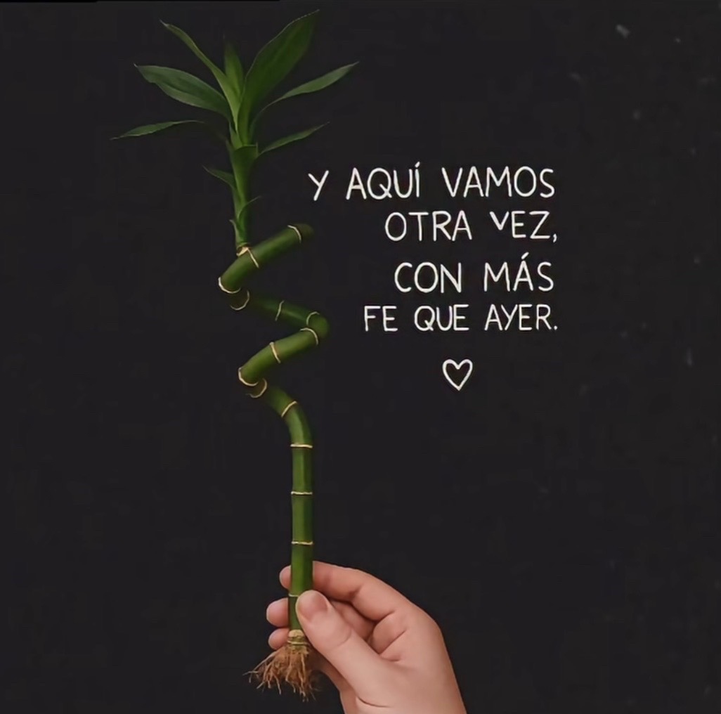 @Olga Ta&ntilde;&oacute;n