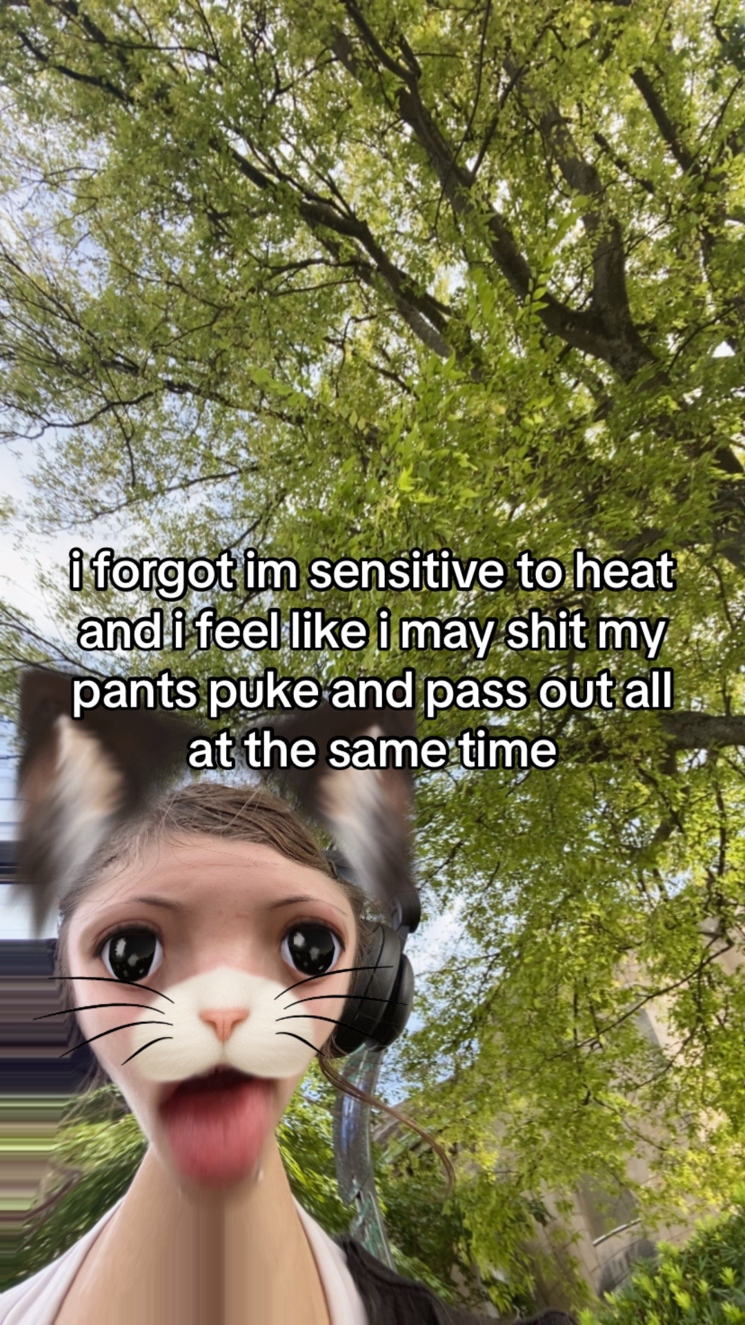@doofusdiaries