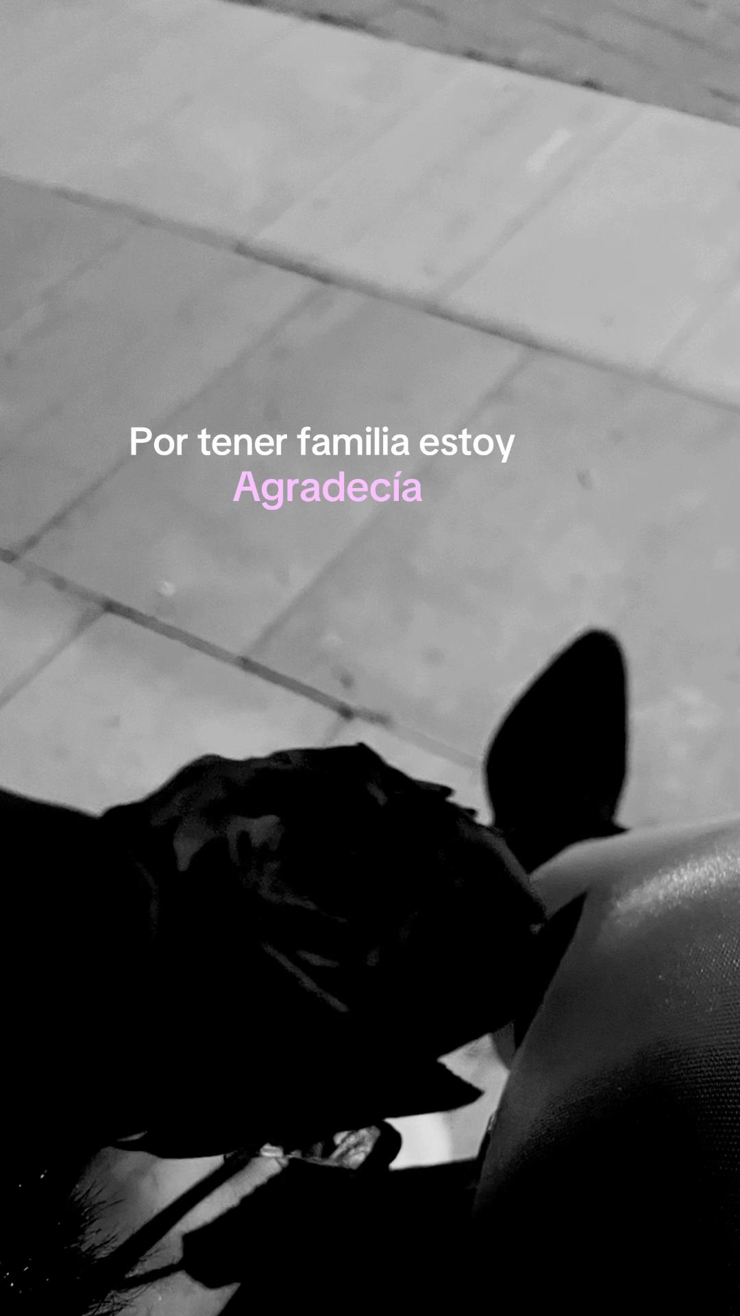 @miireeiagarciiaa