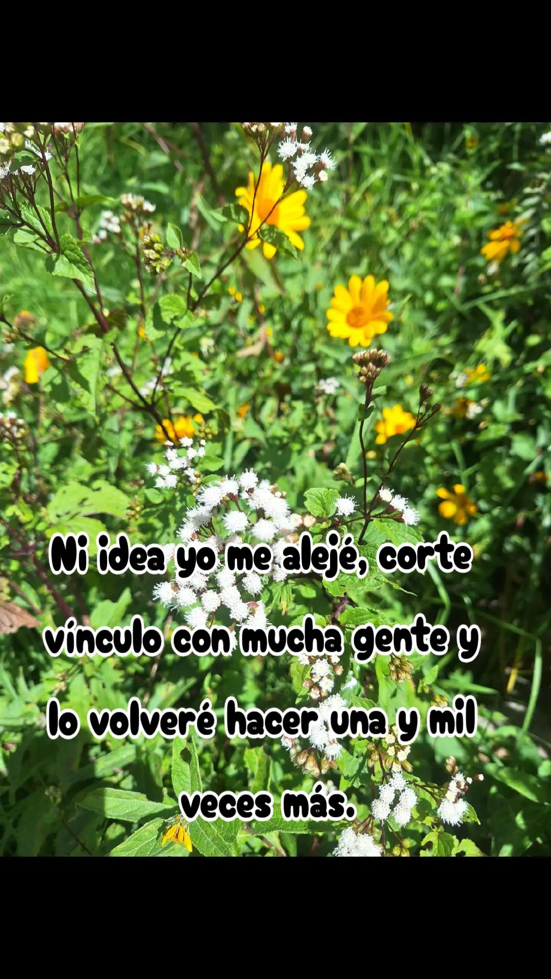 @Soledad 🧚🏻✨