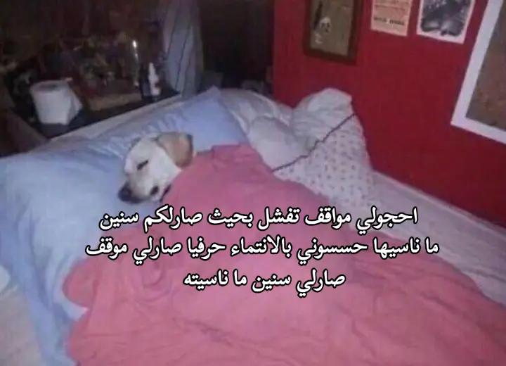 @INFJ💜