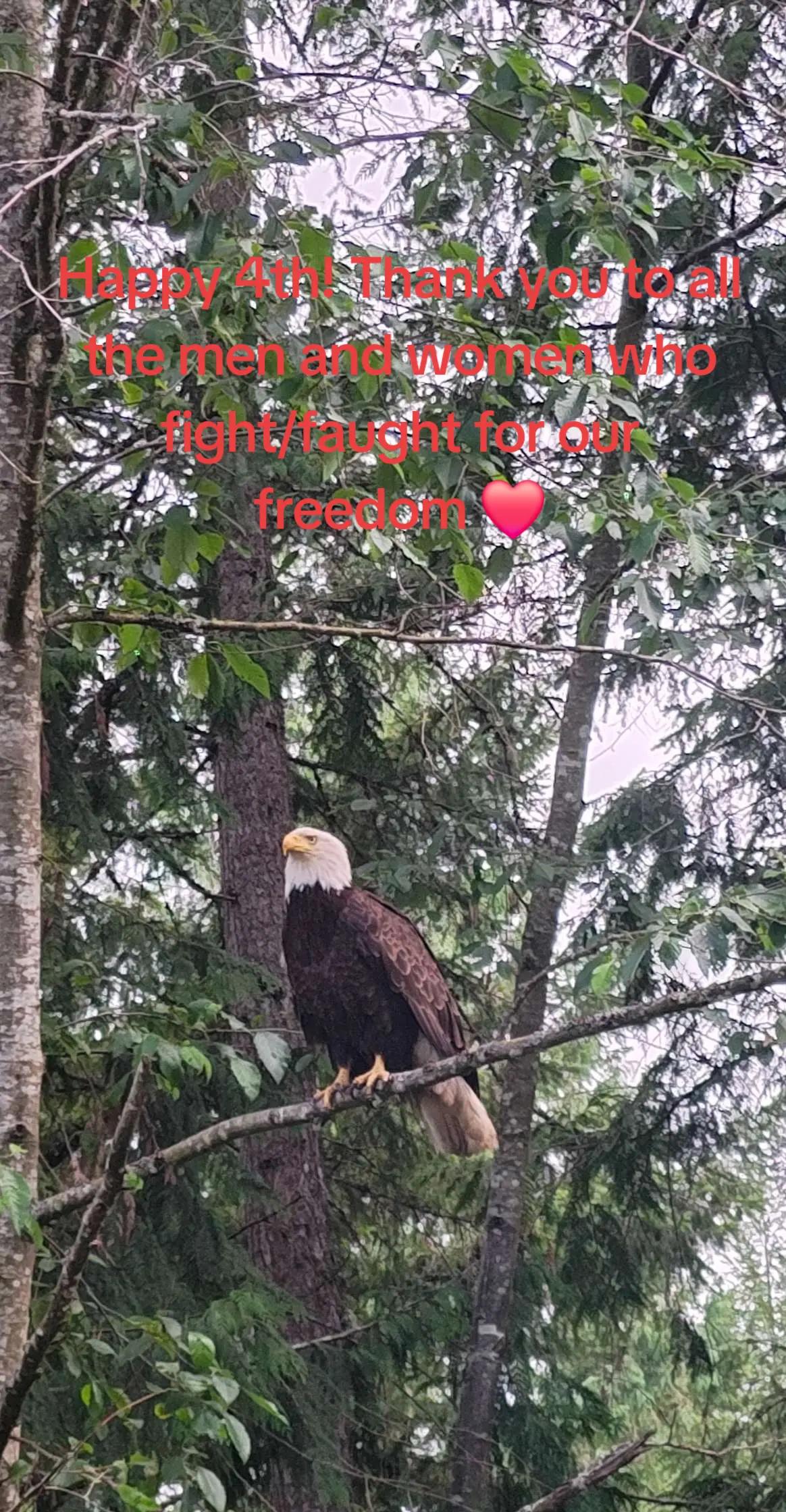 @MamaBear20_24