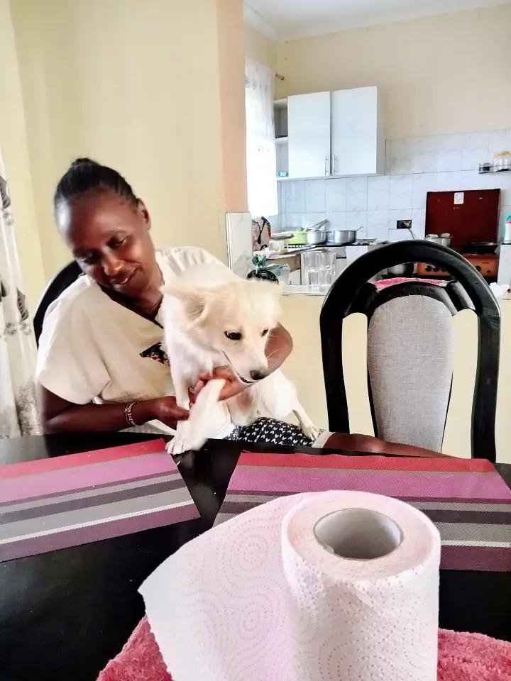 @merry_wanjiko