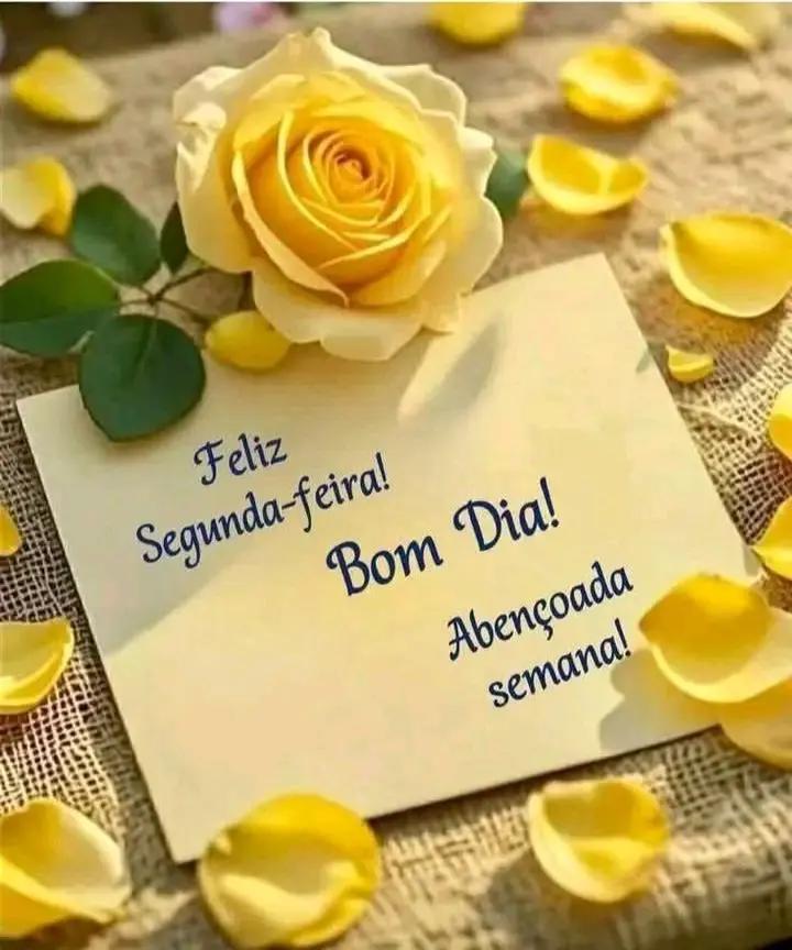 @joze antonio ribeiro de