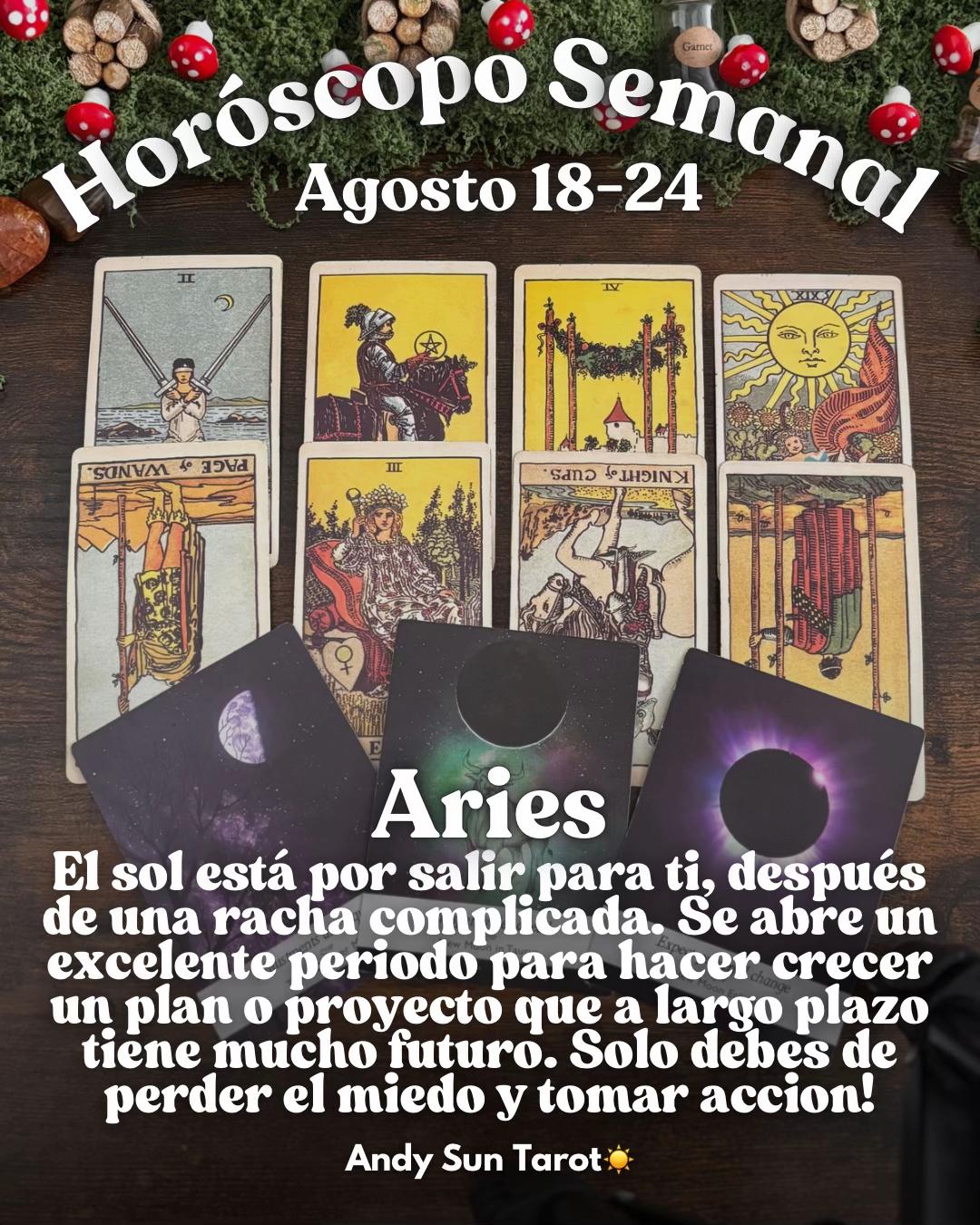 @Andy Sun Tarot ☀️