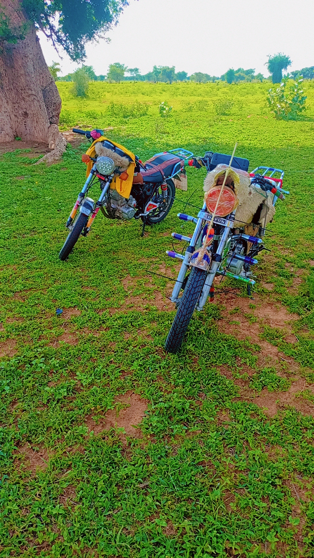 @الفاتح وردي