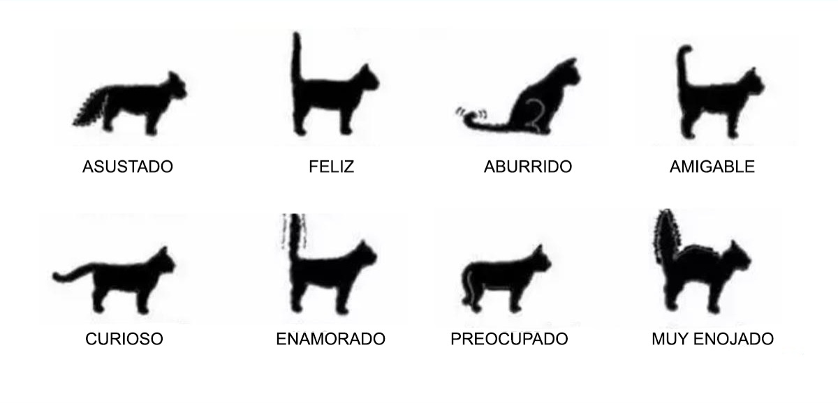 @sugavi12