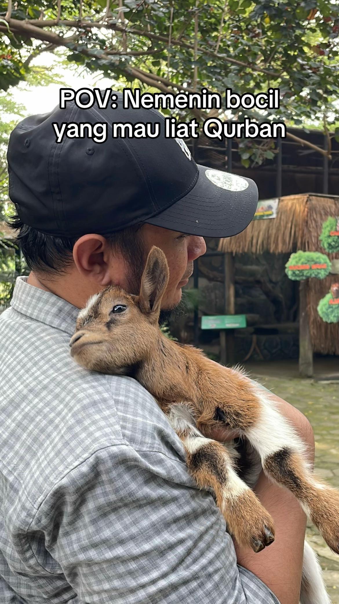 @agamdadam