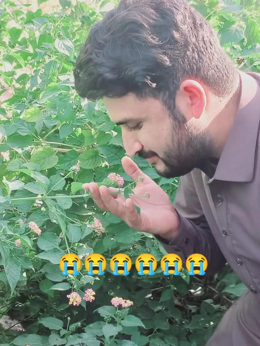 @FAIZAN KHAN 1122