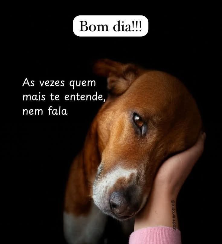 @Fernando