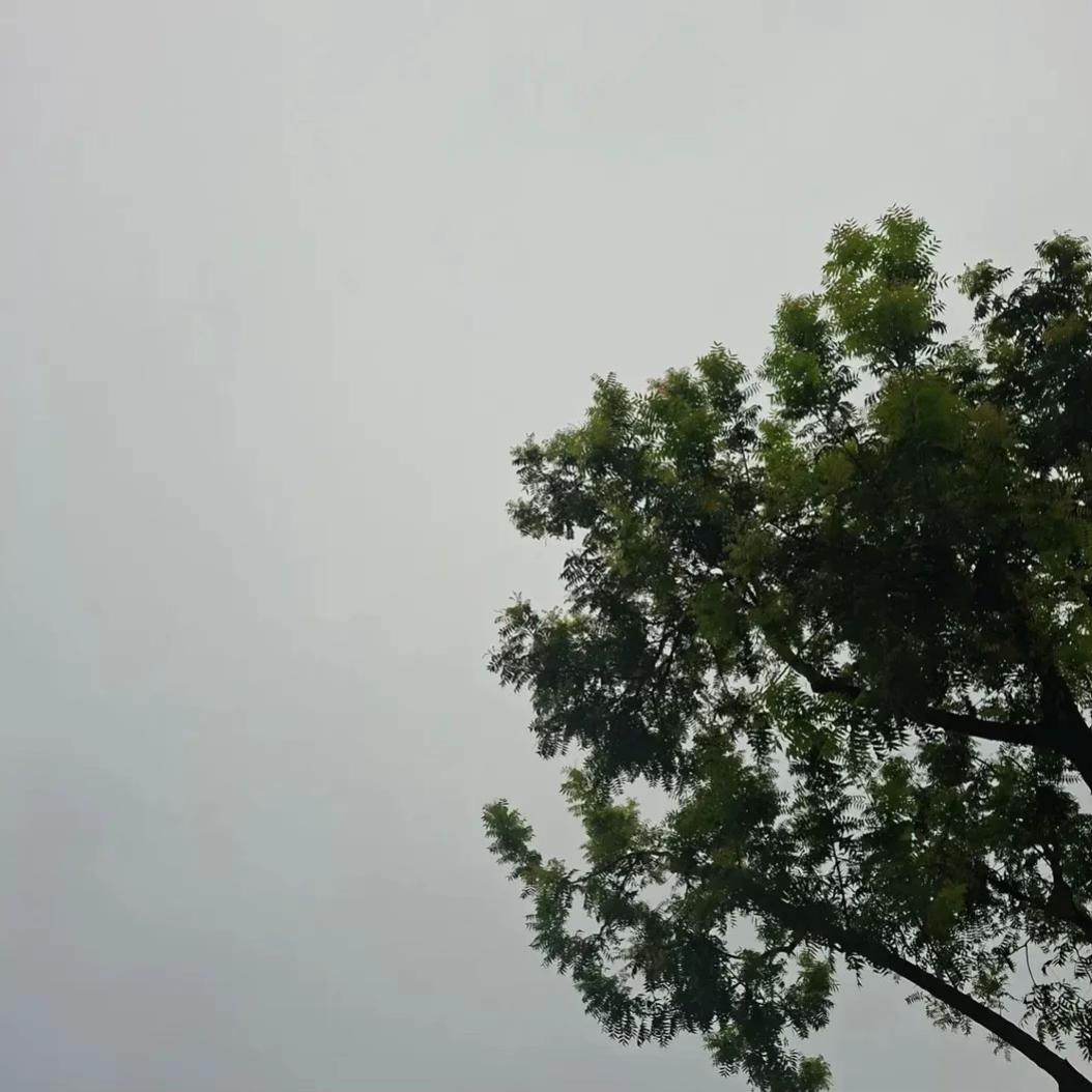 @張張