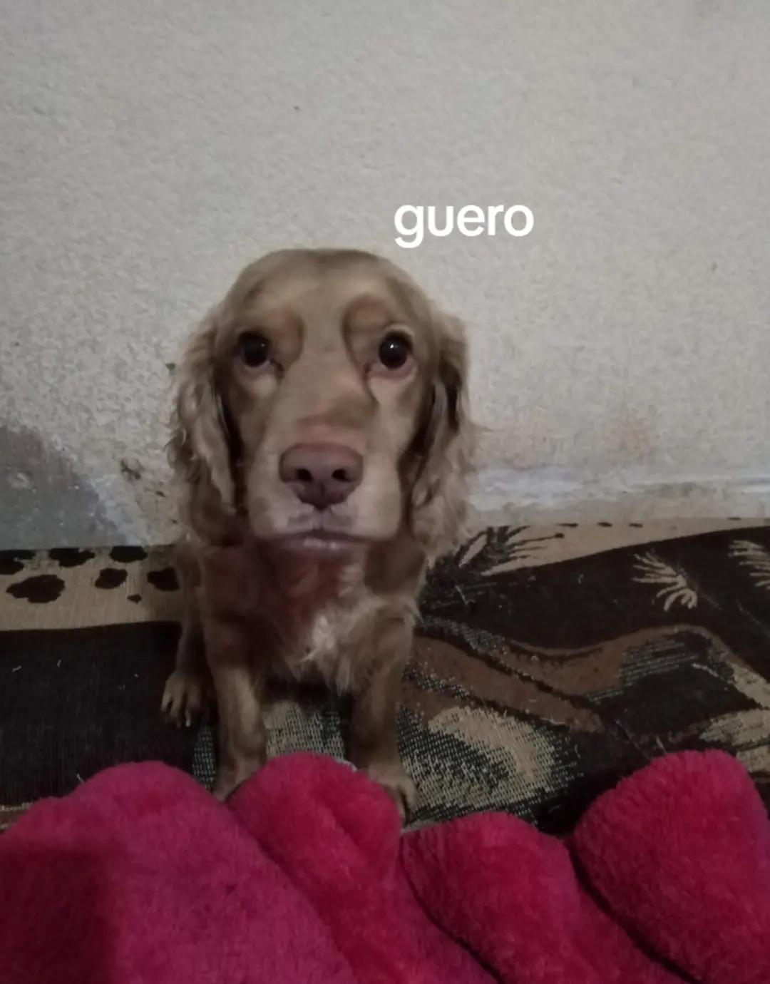 @Angela Aguirre