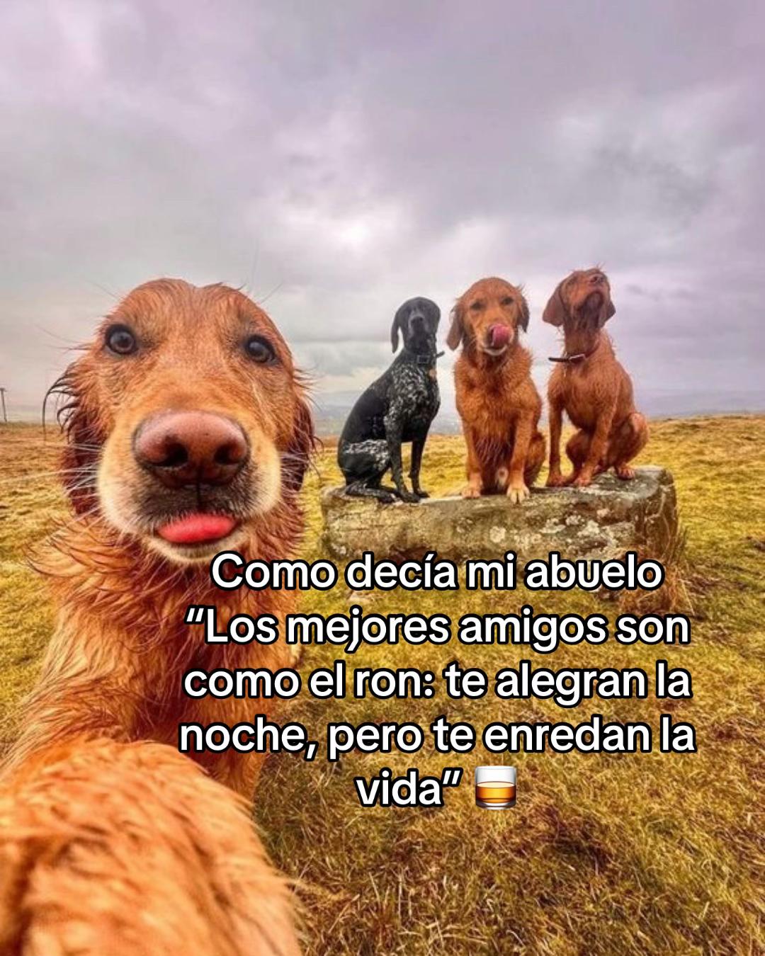 @MONTERIA MEME