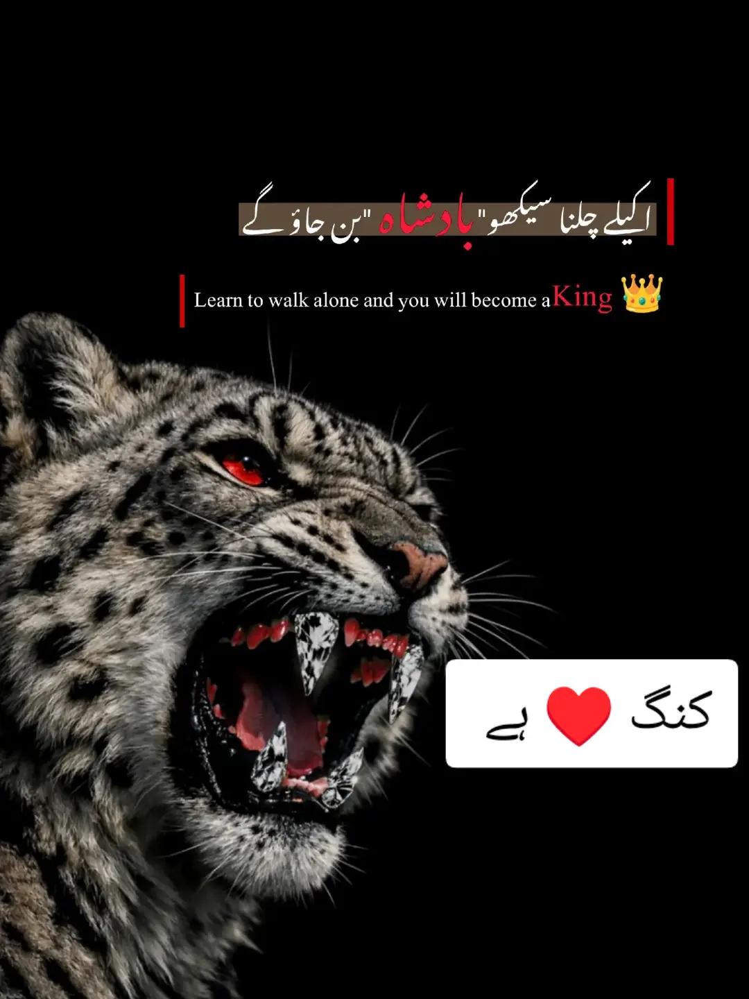 @🖤👍👑(زین)👑 (بادشاہ )👑👍🖤