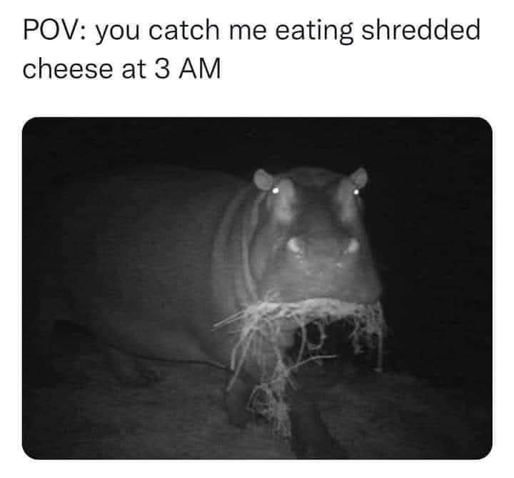 @standingbearmexica