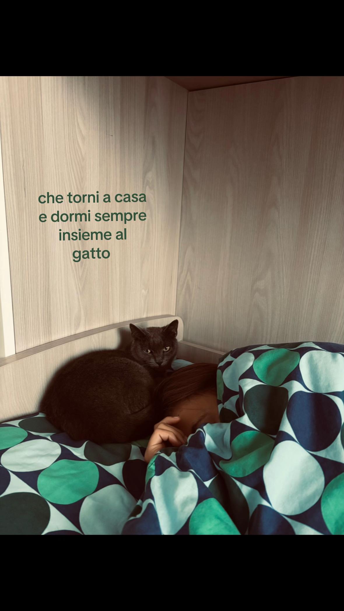 @𝒮𝑜𝒻𝒾❤️🩹