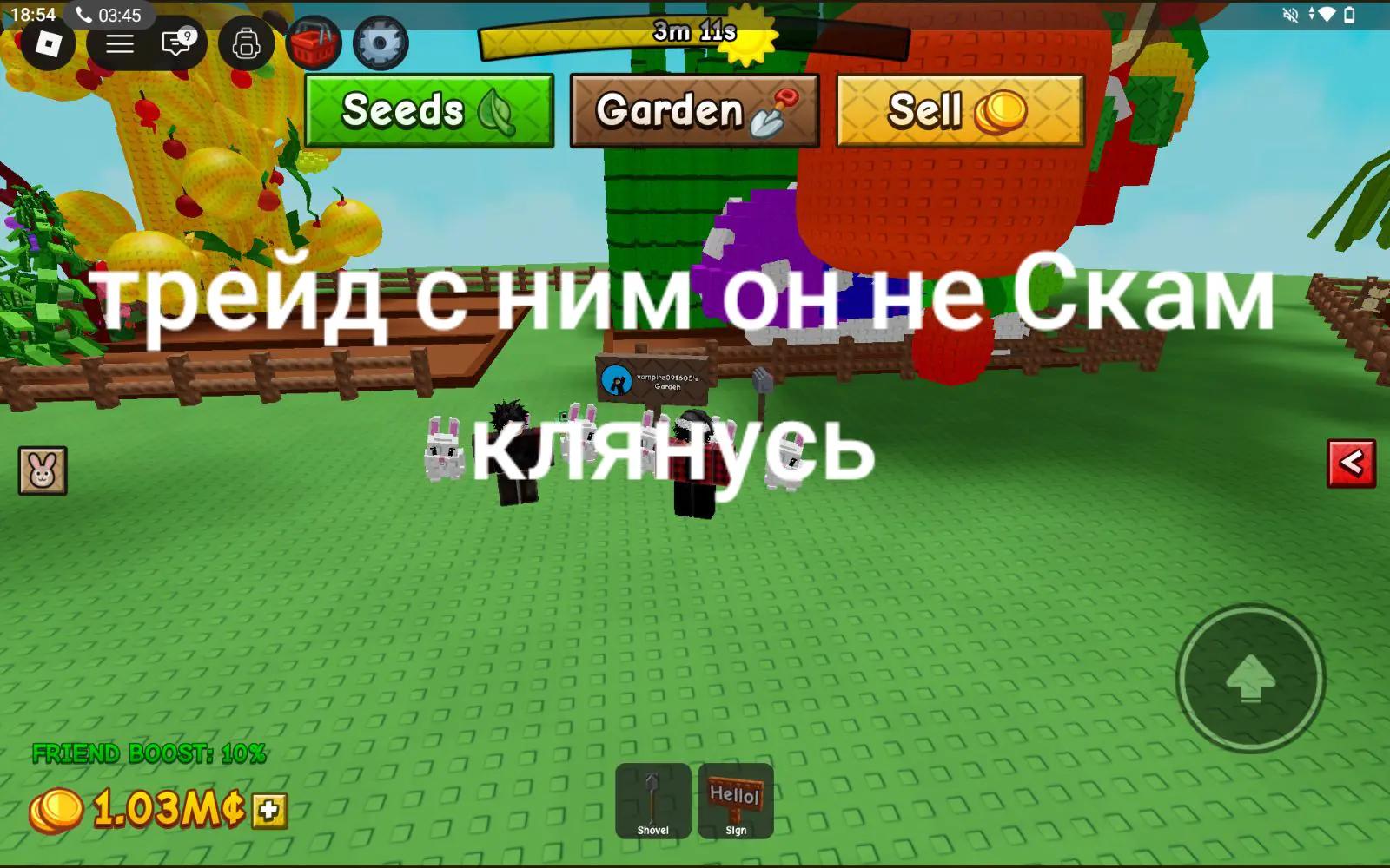 @Blox fruits accunt