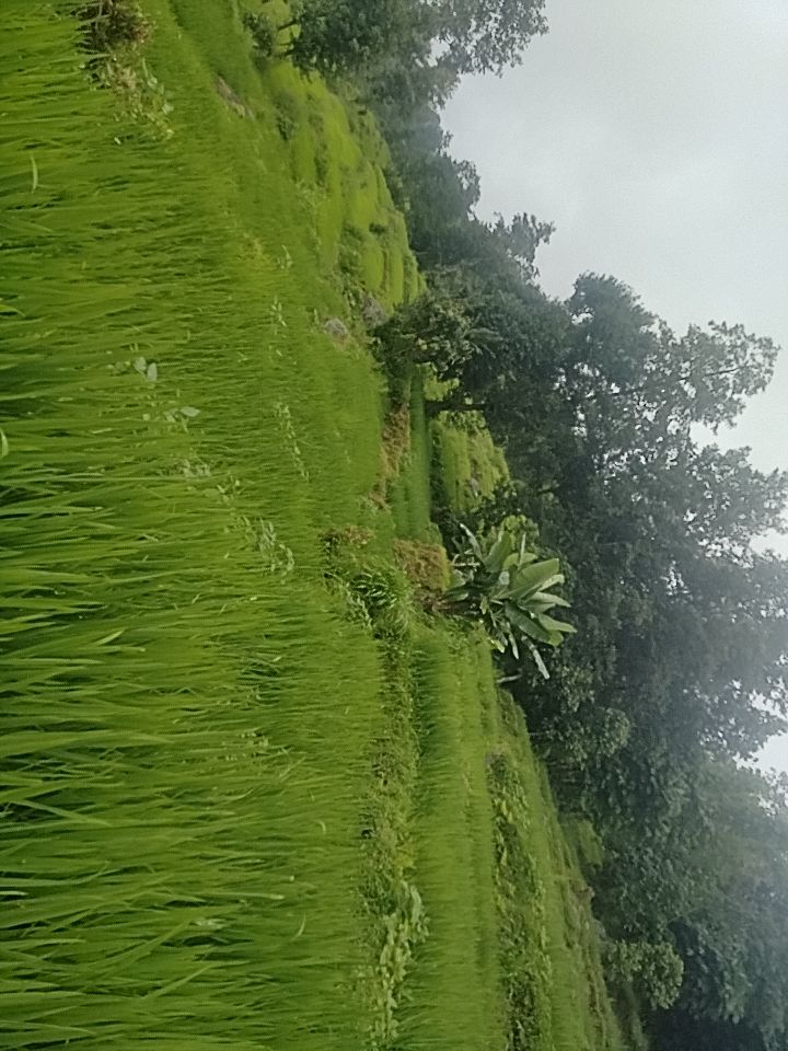 @Baburam Ghimire