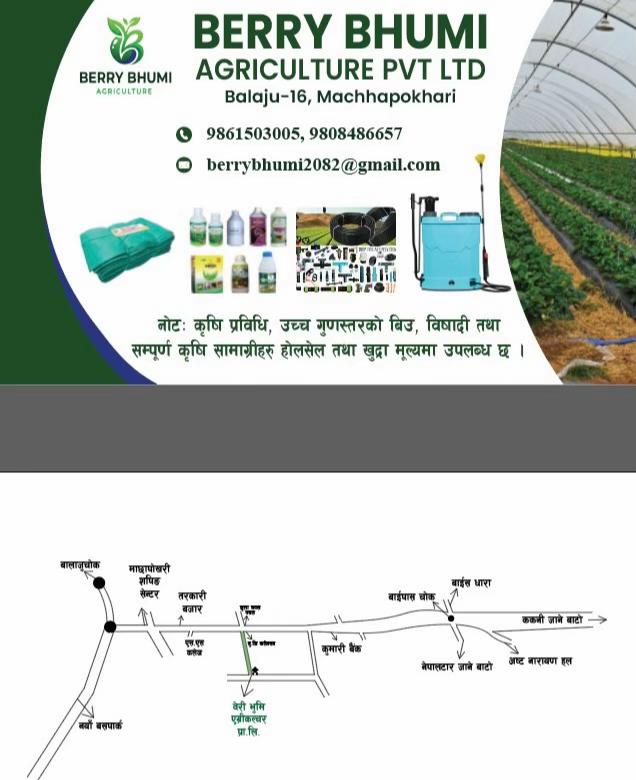 @kakani strawberry 🇳🇵🇳🇵