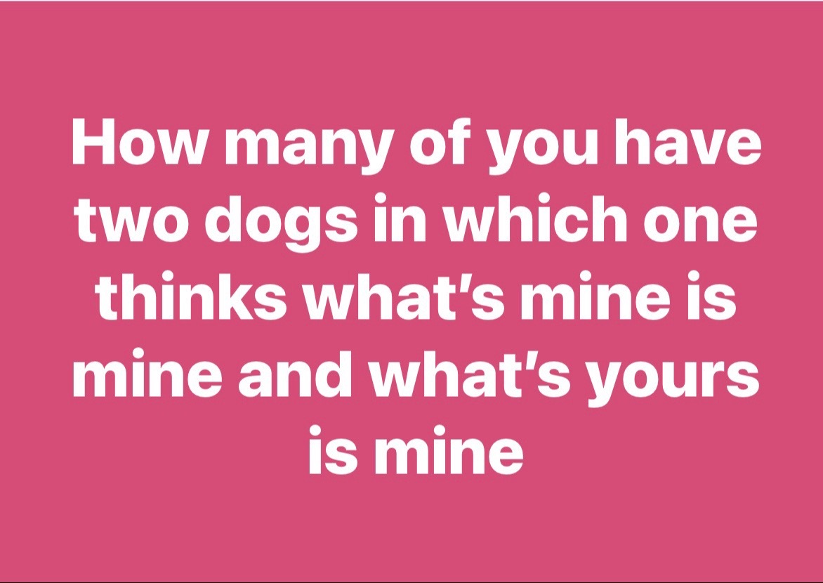 @Randi&ensp;Zwilling