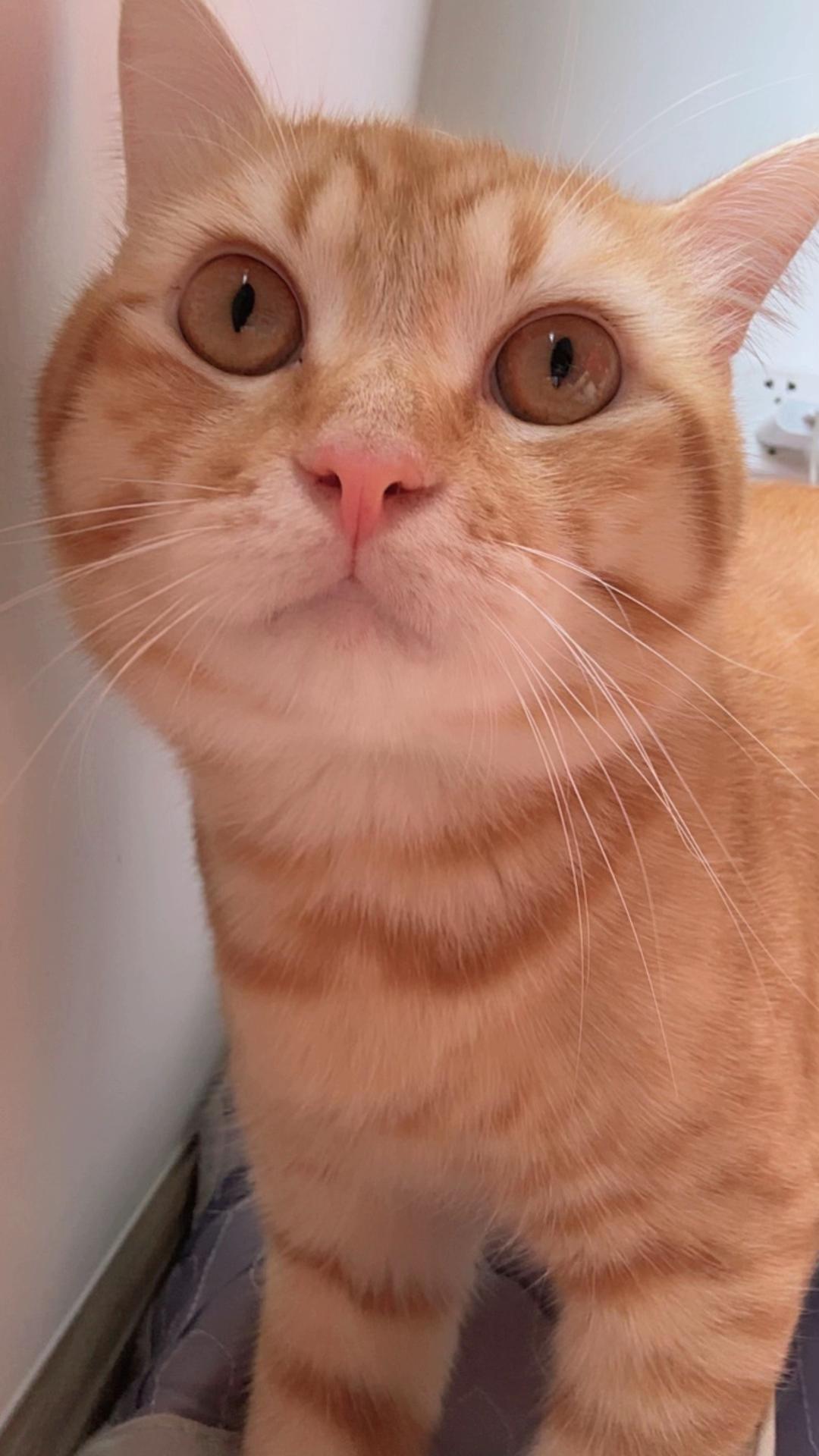 @Em p&eacute; Cam 🍊🧡
