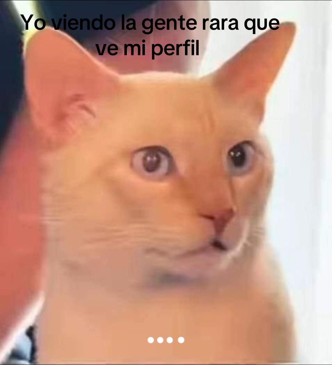 @Yoryo