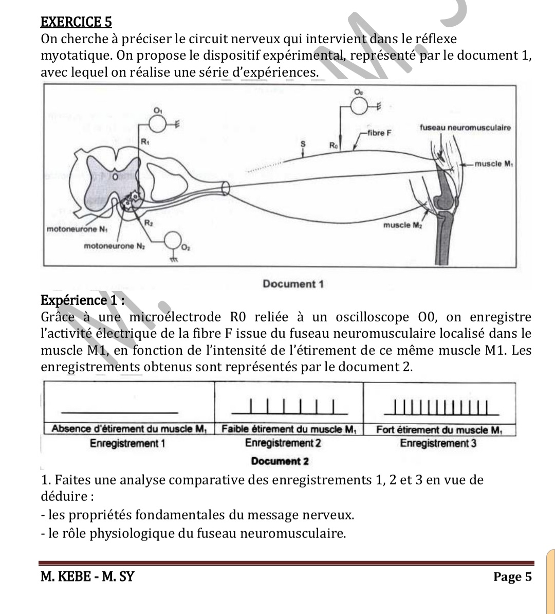 @Ecole virtuelle S.V.T K.A.S