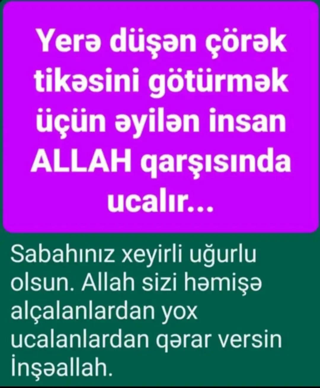 @aydin
