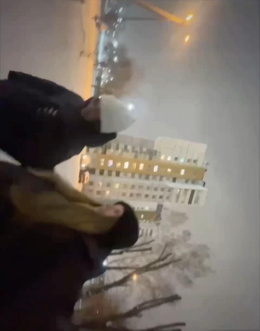 @dmitrievvna