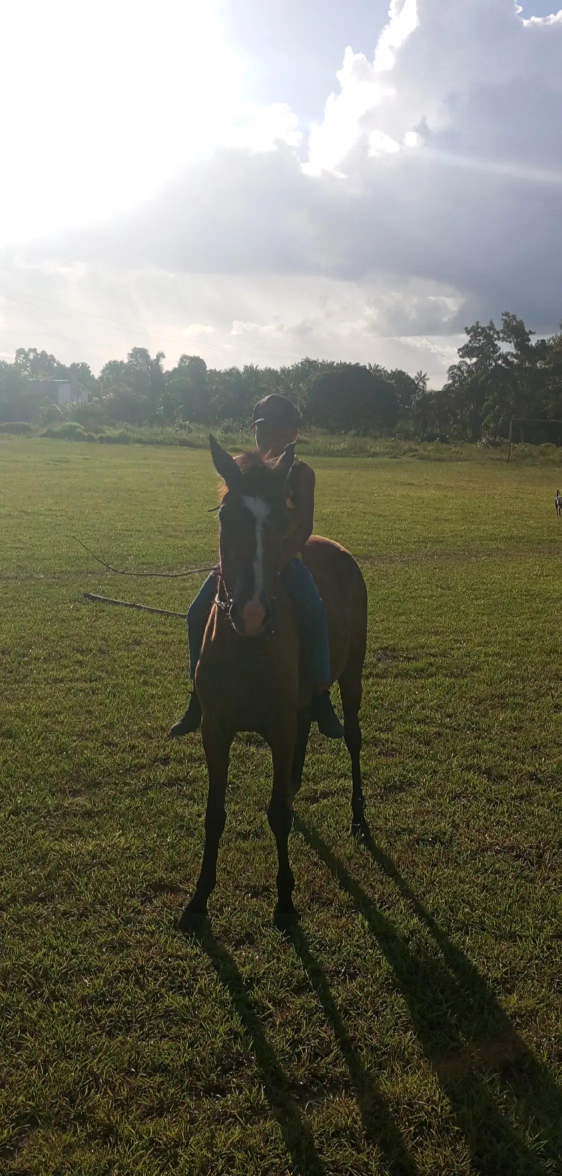 @ÉO HG TA🙄